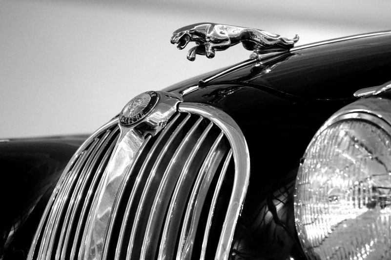 pexels-mikebirdy-192501