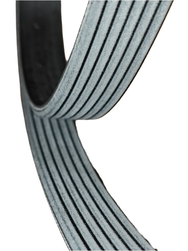 LR035502_1.jpg BELT - ACCESSORY DRIVE LR035502 CPLA6C301HA